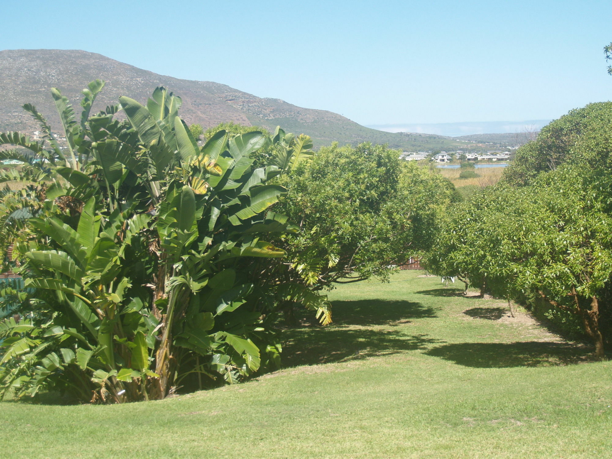 Horizon Cottages Noordhoek Dış mekan fotoğraf