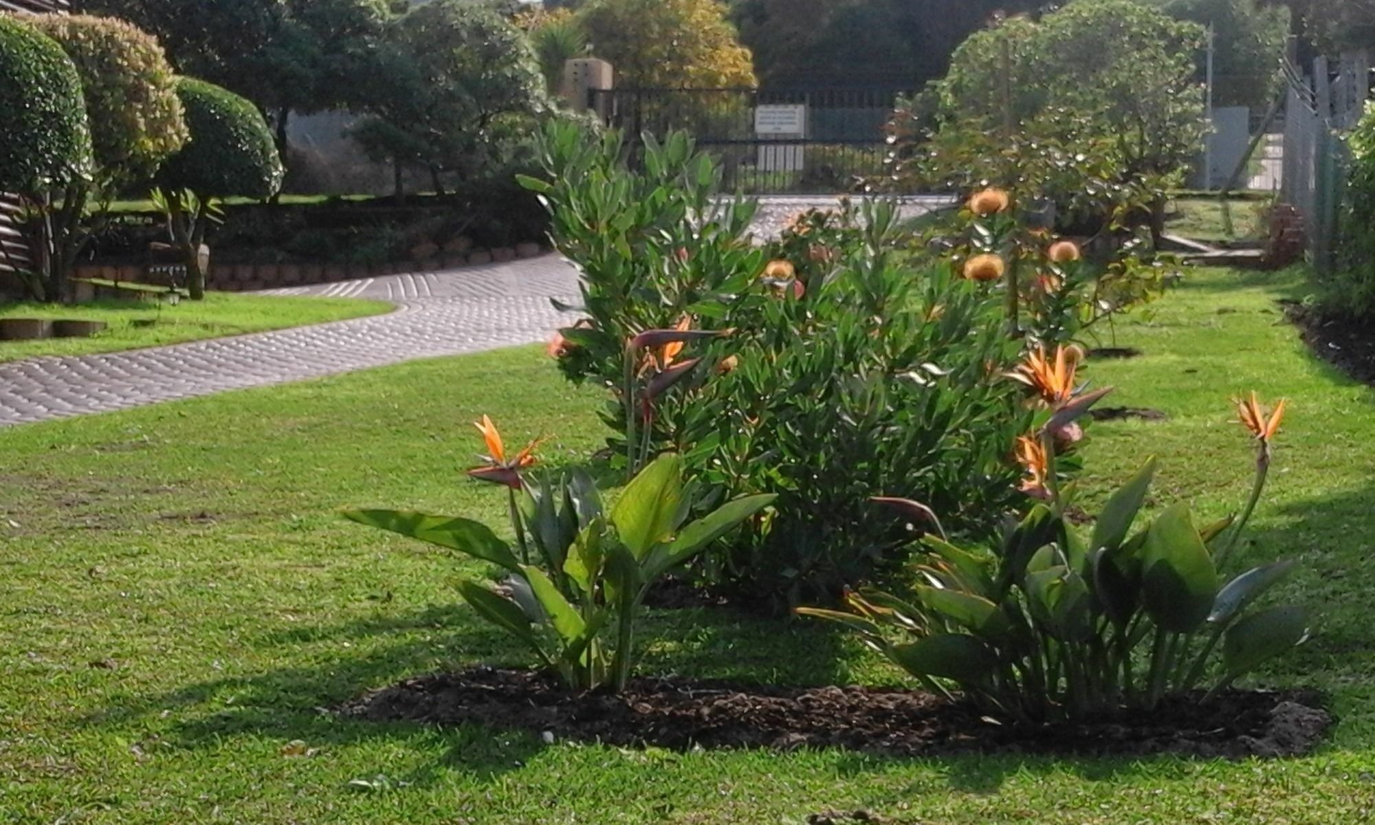 Horizon Cottages Noordhoek Dış mekan fotoğraf